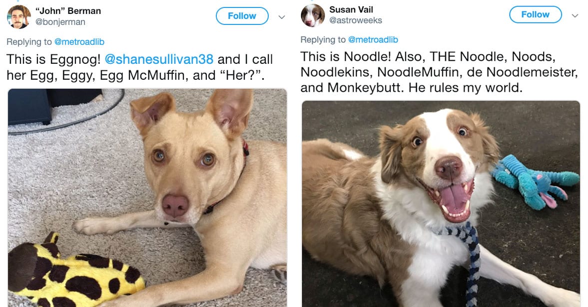 people-are-listing-all-the-nicknames-they-call-their-pets-and-they-only-get-weirder-and-weirder