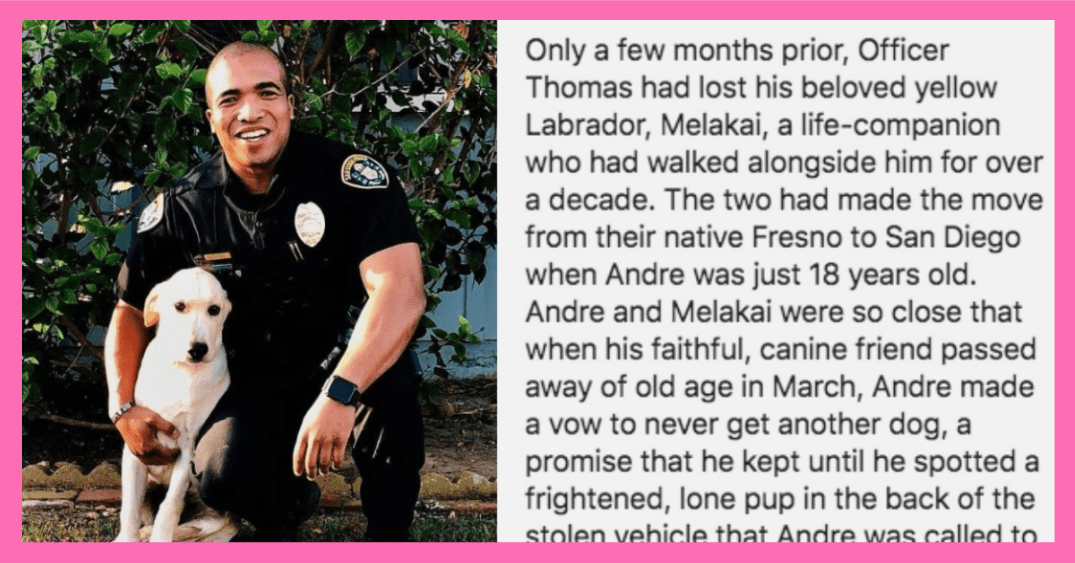 Police Officer Finds Dog in Stolen Car and Adopts Him