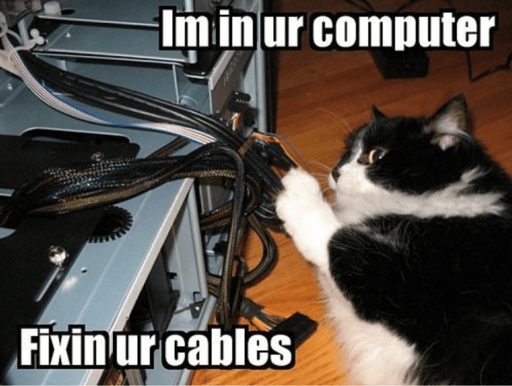Cats From Tech Support Who Are Here to Help You Fix Your ...