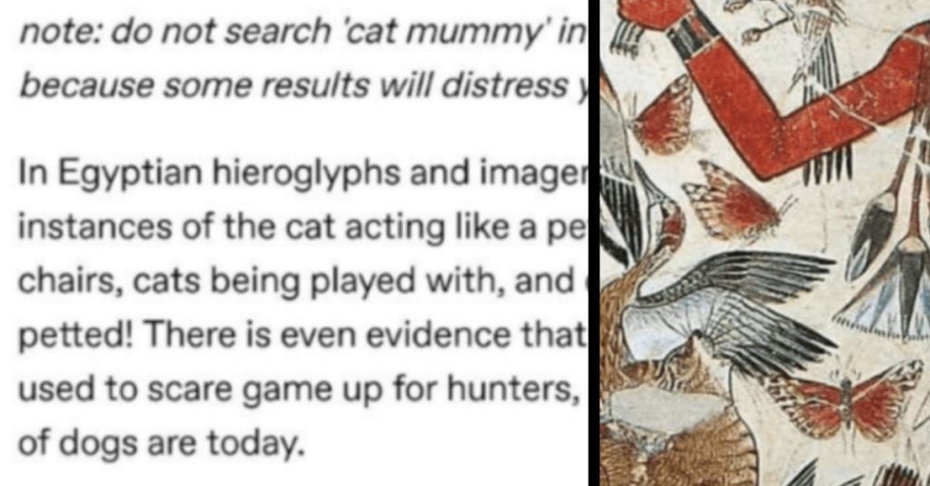 Did Humans Domesticated Cats or Did Cats Domesticated Humans?