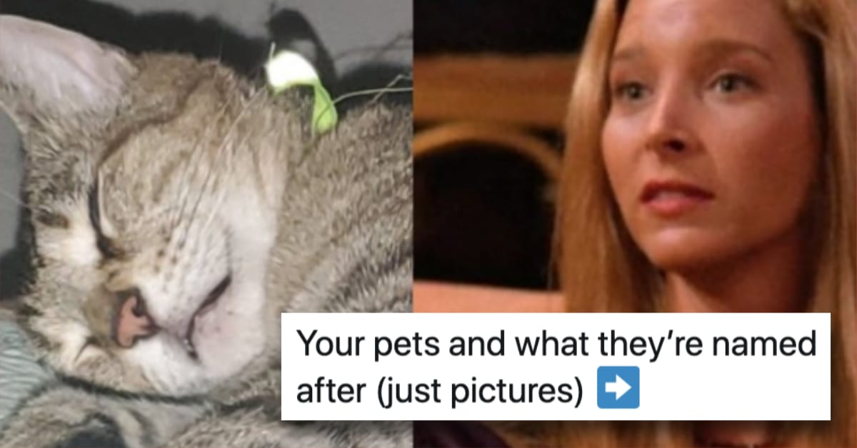 11 People Share What Was Behind Their Pet's Adorable Name
