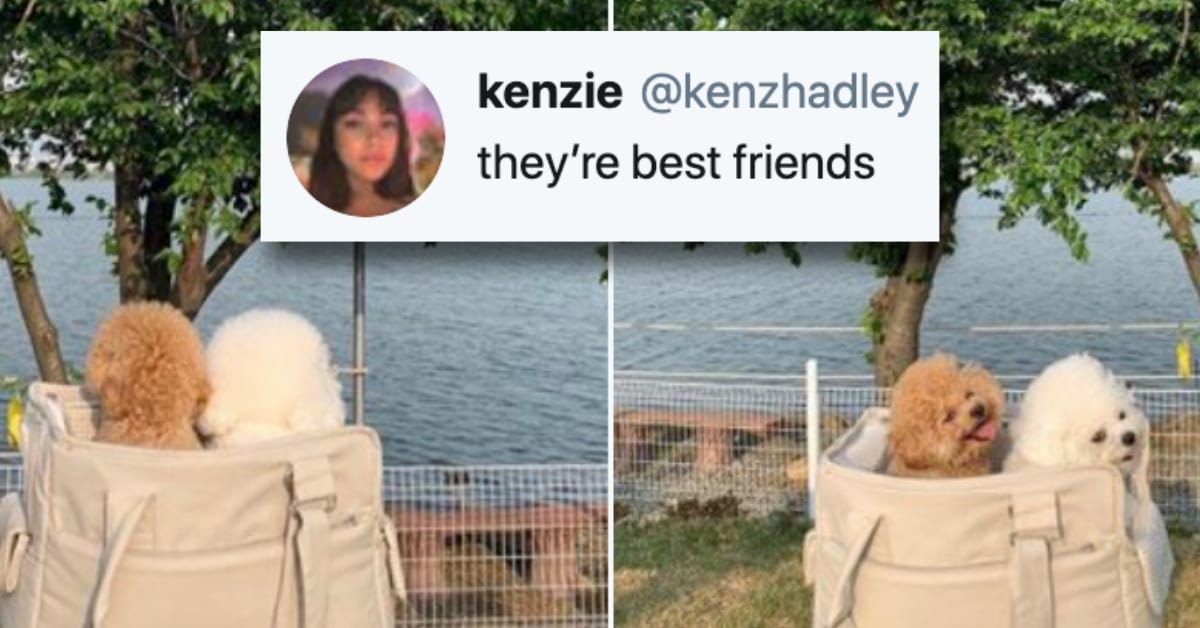 11 of the Most Wholesome Things You'll See This Week