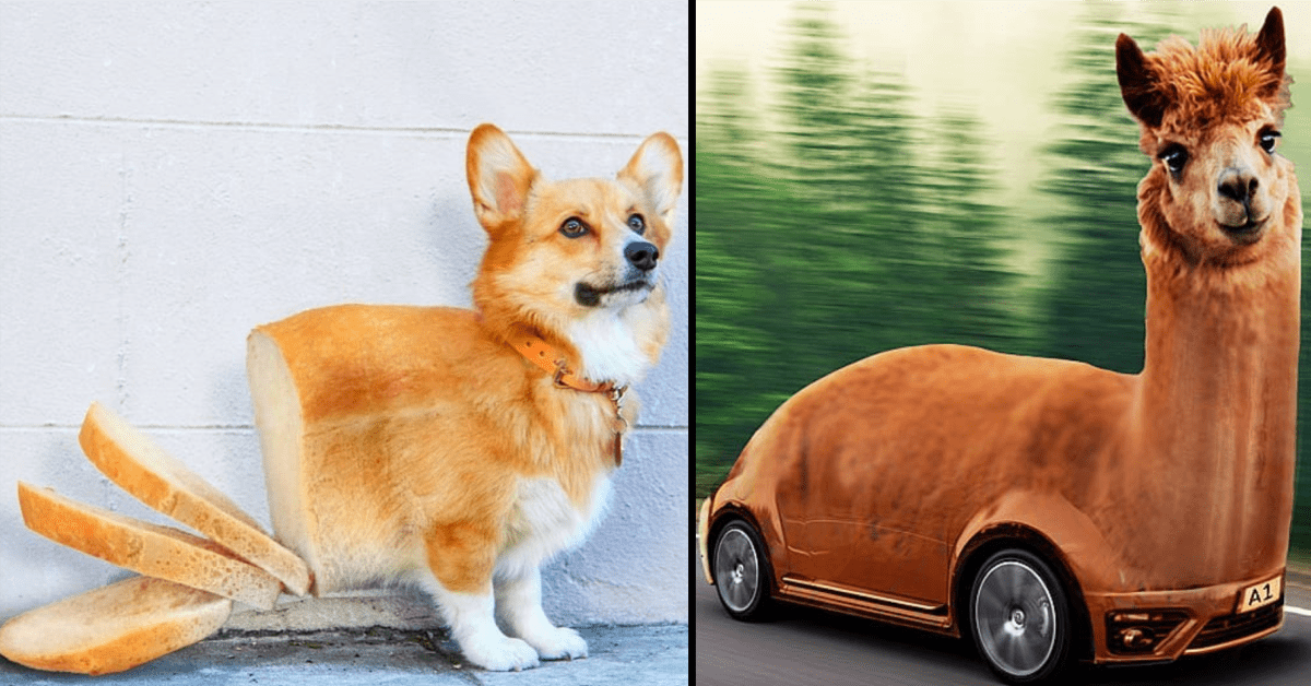 This Guy Photoshops Animals Into Random Things and It's a Lot of Fun