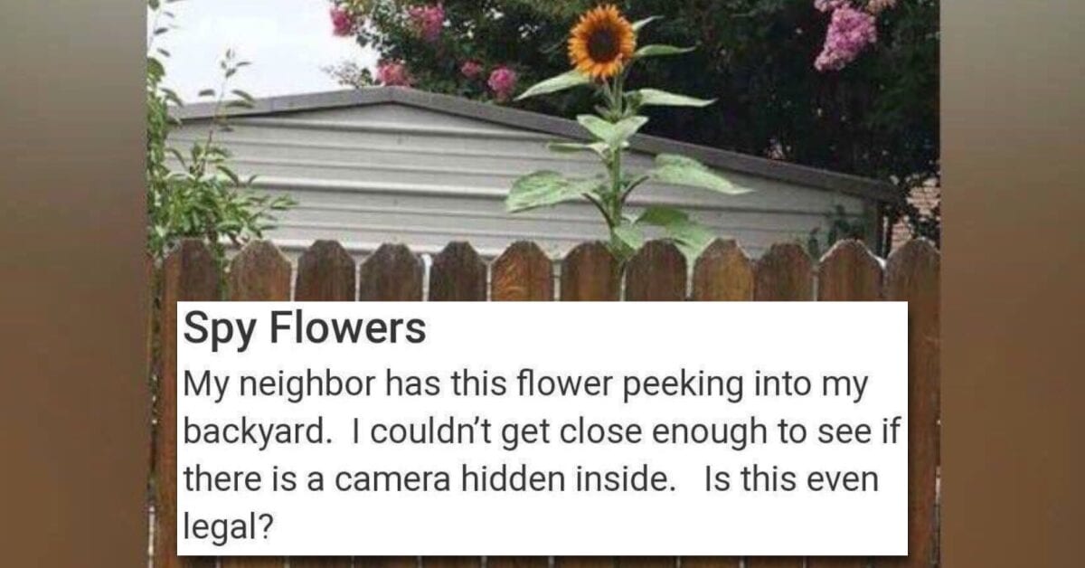 Hilarious Stories About Weird Neighbors From the Nextdoor App