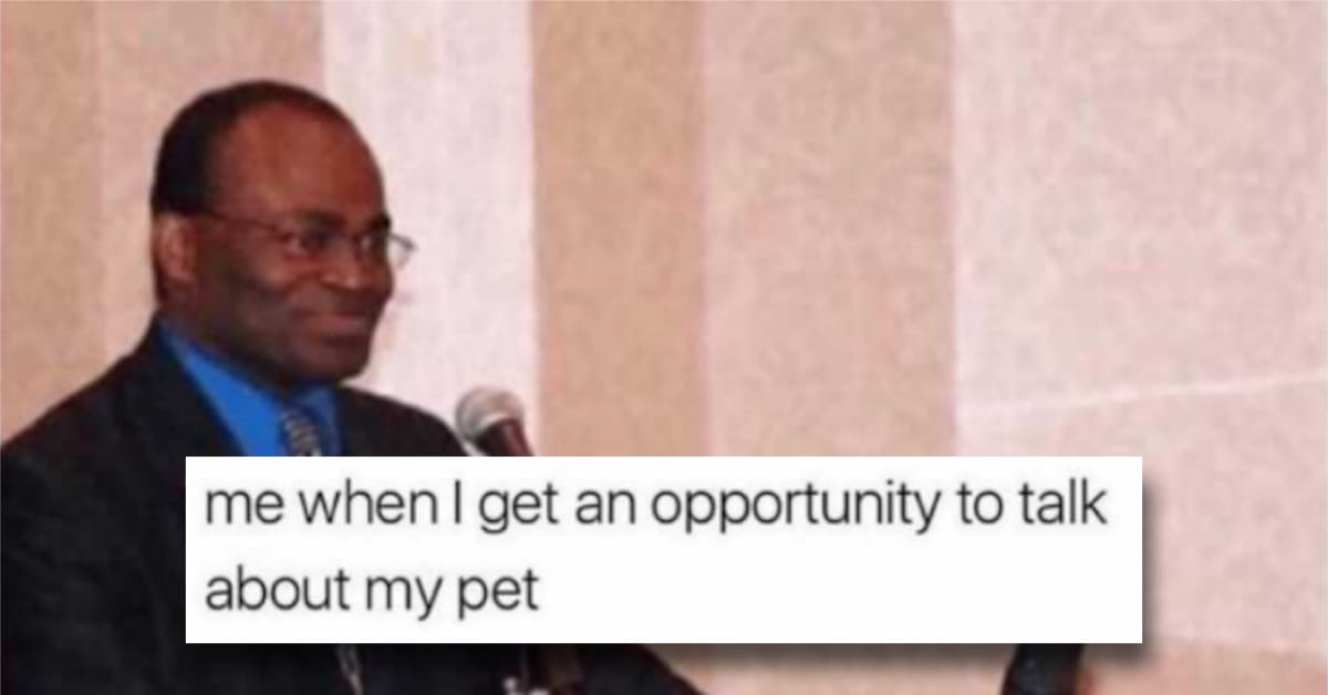 12 Super Relatable Memes That'll Give You a Good Healthy Chuckle This ...