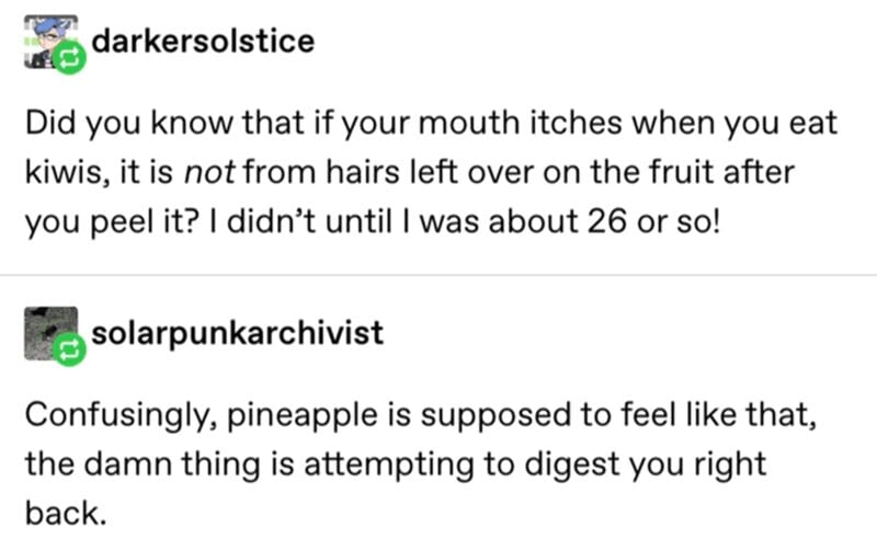 @darkersolstice: Did you know that if your mouth itches when you eat kiwis, it is not from hairs left over on the fruit after you peel it? I didn't until I was about 26 or so! @solarpunkarchivist: Confusingly, pineapple is supposed to feel like that, the d**n thing is attempting to digest you right back.